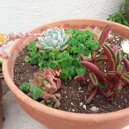 Prázdninový dům La Casita Azul *